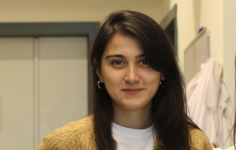 Former PhD student and current post doctor of the group Dr. Azra Kocaarslan Ahmetali has been awarded with the Young Investor Group Preparation Program Fellowship to conduct research at Karlsruhe Institute of Technologie.
