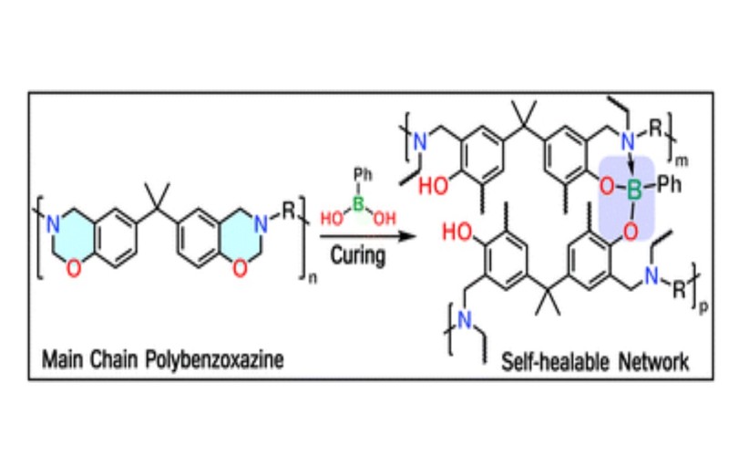 Exploting the reversible covalent bonding of boronic acids for self-healing/recycling of main-chain polybenzoxazines